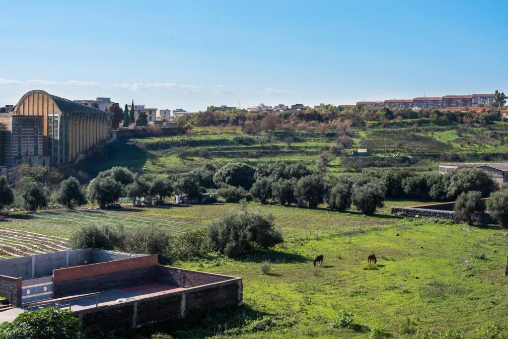 Top Floor Apartment Near Historic Fortino Catania Eksteriør billede